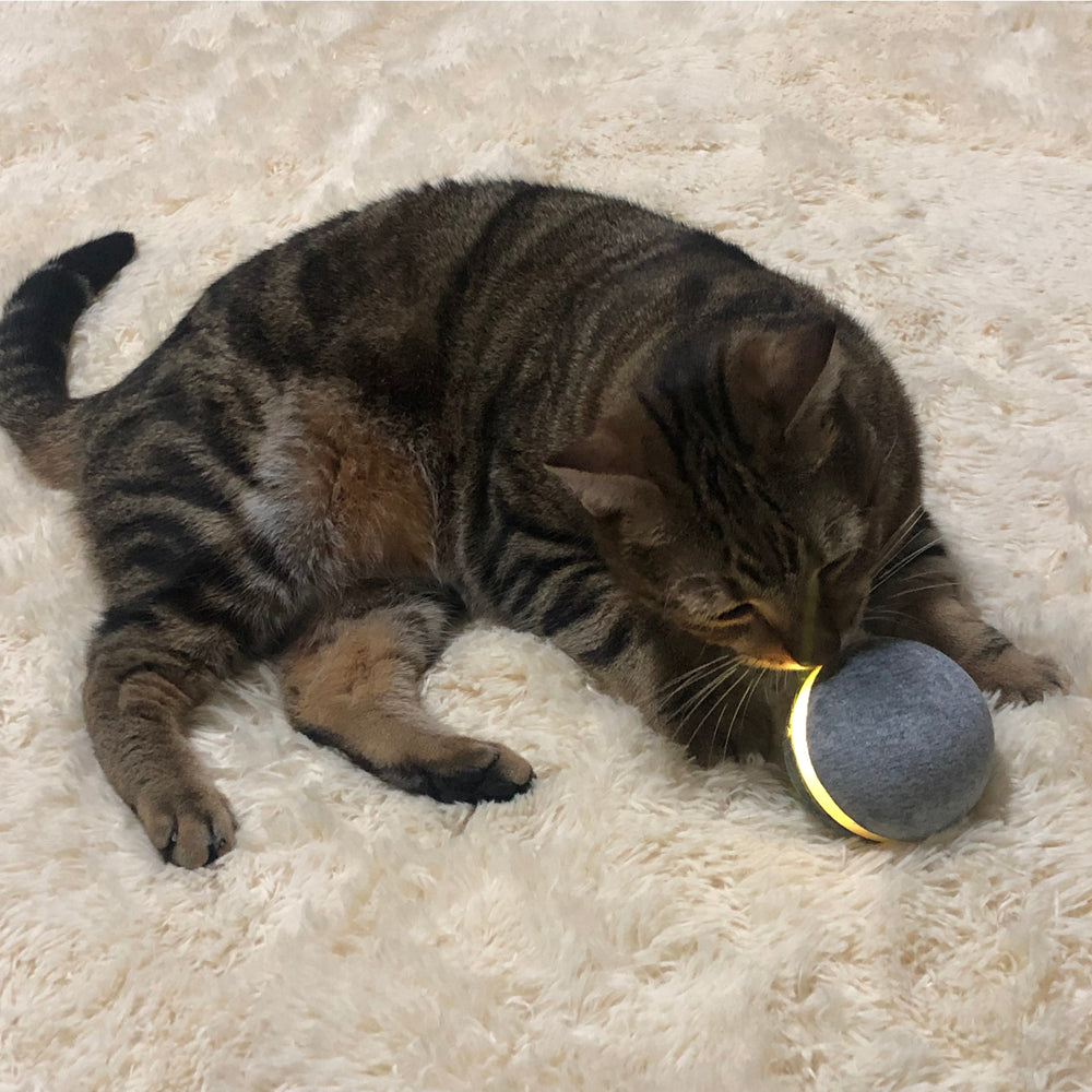 Springender Spielball für Katzen