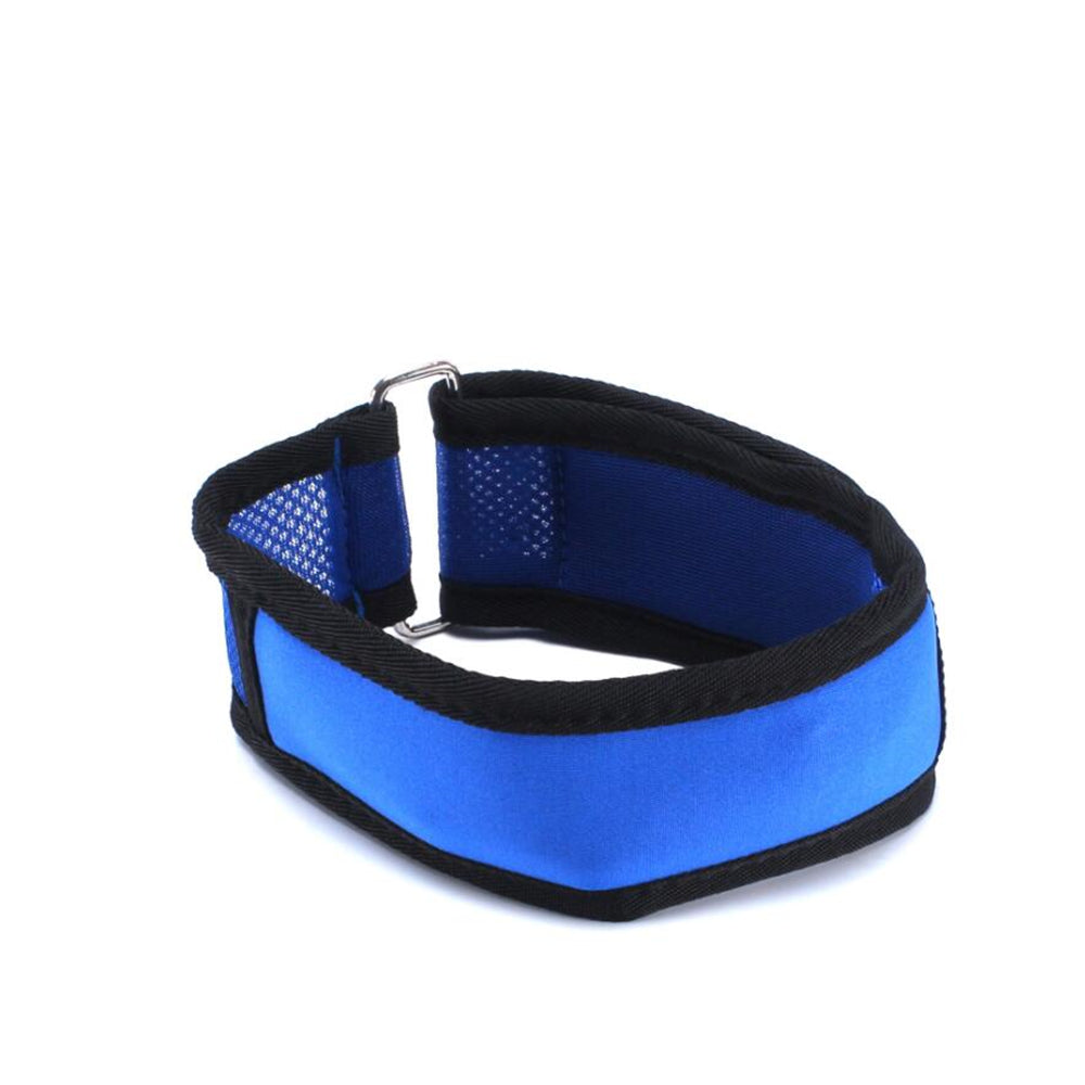Kühlhalsband für Haustiere | LuxeStyle