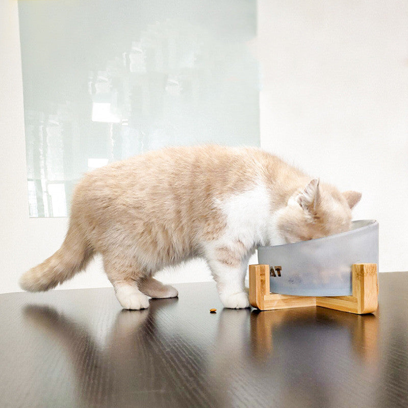 Schräge Glasfutterschale für Katze & Hund | LuxeStyle
