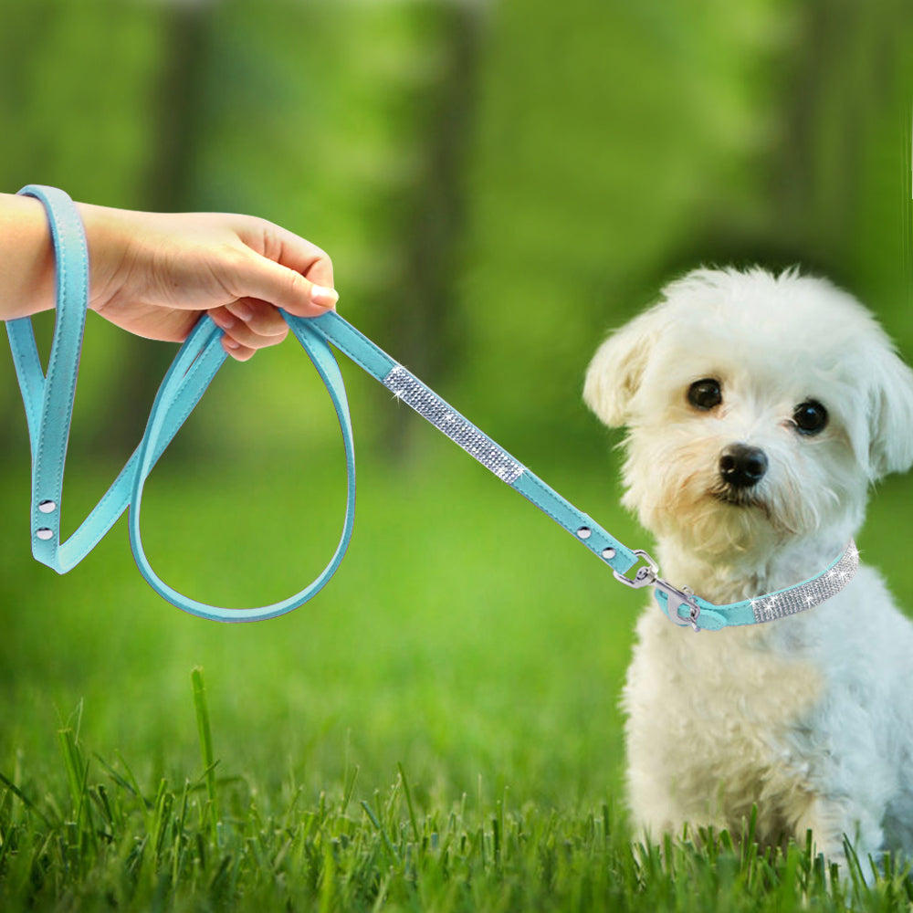 Halsband Hot Dog glitzernd – Bild 2 | LuxeStyle