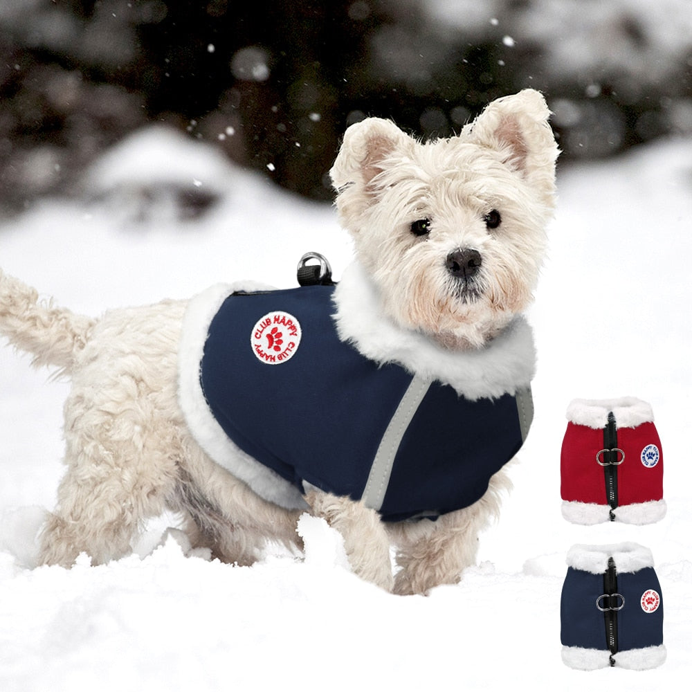 Hundekörperband Winter mit Kaschmir-Ästhetik – Bild 2 | LuxeStyle