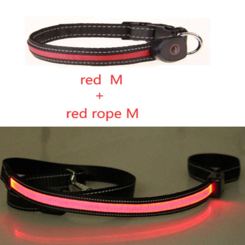 Hundehalsband leuchtend – Bild 3 | LuxeStyle