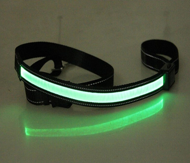 Leuchtendes Hundehalsband mit Solar- und USB-Ladefunktion – Bild 2 | LuxeStyle