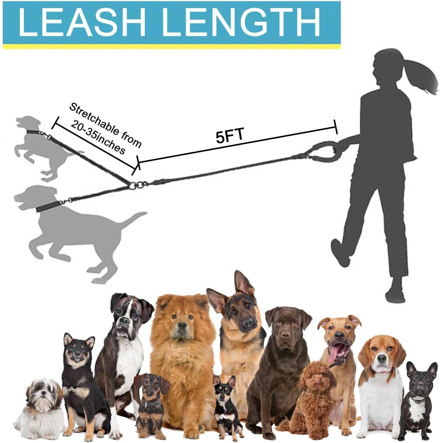 Leuchthalsband für Hunde