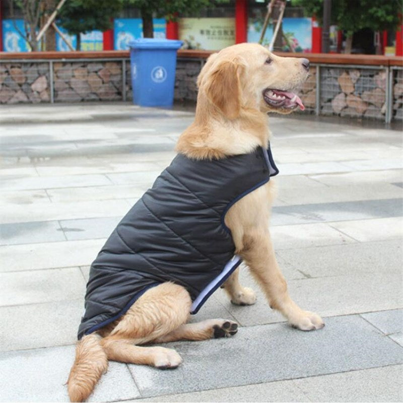 Winter Baumwollmantel für Hunde