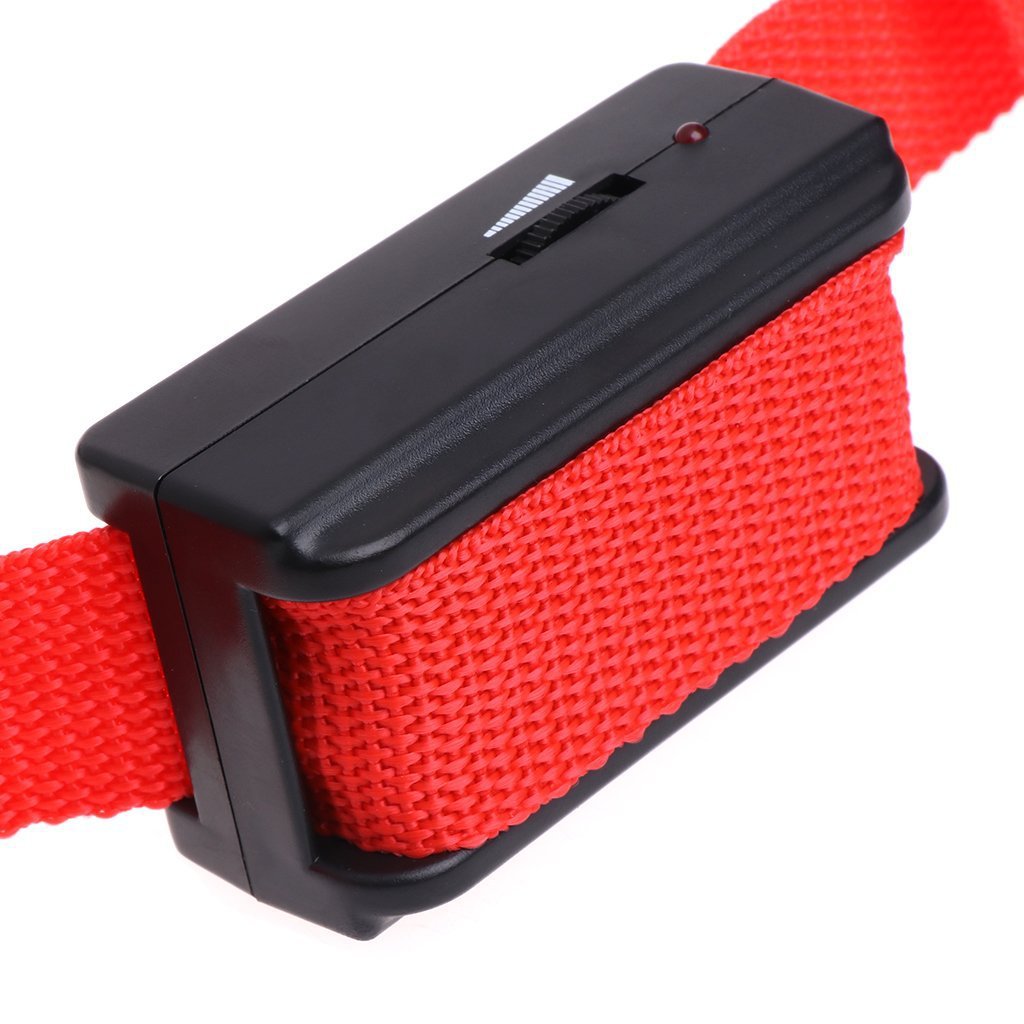 Hundetraining-Halsband – Bild 4 | LuxeStyle