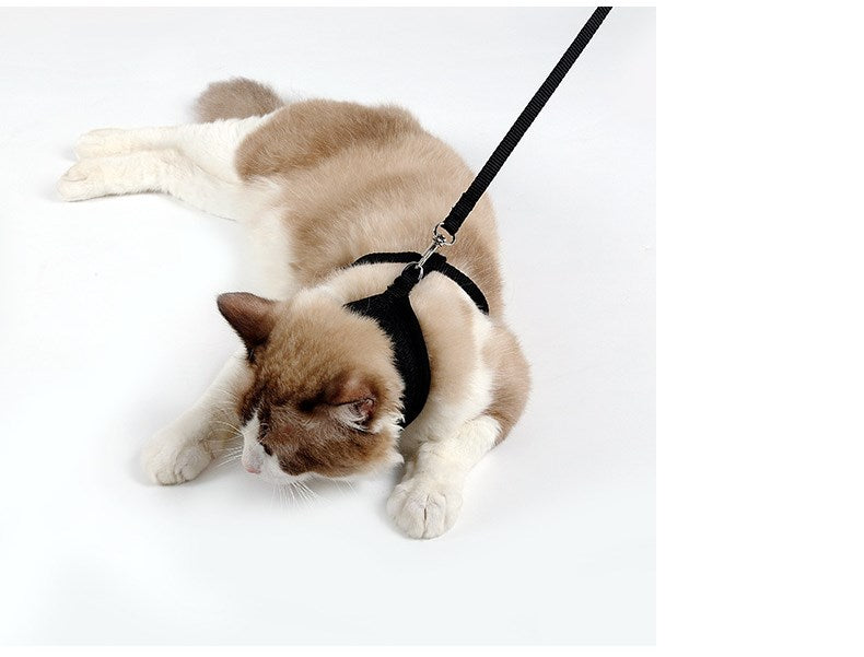 Anti-Rutsch Katzengeschirr – Bild 5 | LuxeStyle