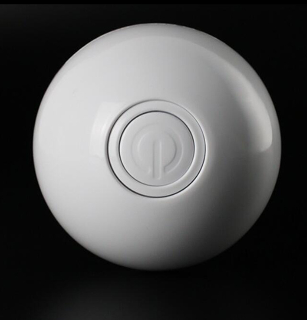 LED Laser Rolling Pet Toy Ball
