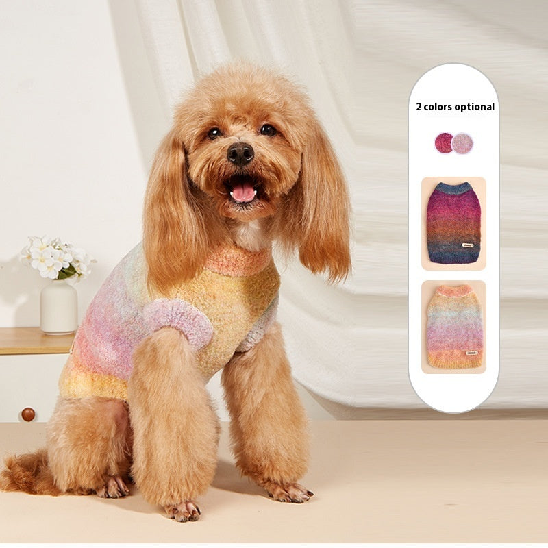 Regenbogen Pullover für Haustiere | LuxeStyle