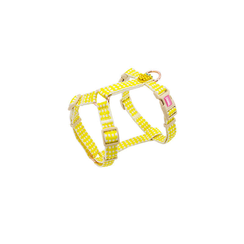 Halsband oder Geschirr mit Leine im Landhausstil – Bild 2 | LuxeStyle