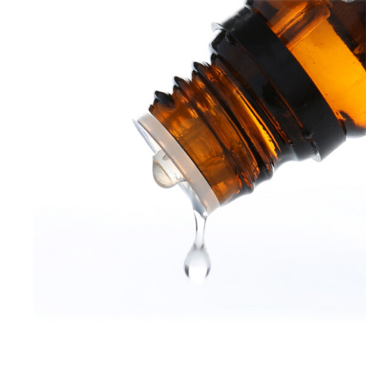 Rosmarinöl, ätherisch 10ml – Bild 10 | LuxeStyle