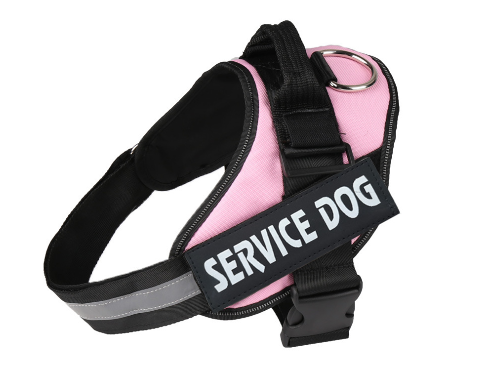 Halsband mit Brusttasche für Hunde – Bild 4 | LuxeStyle