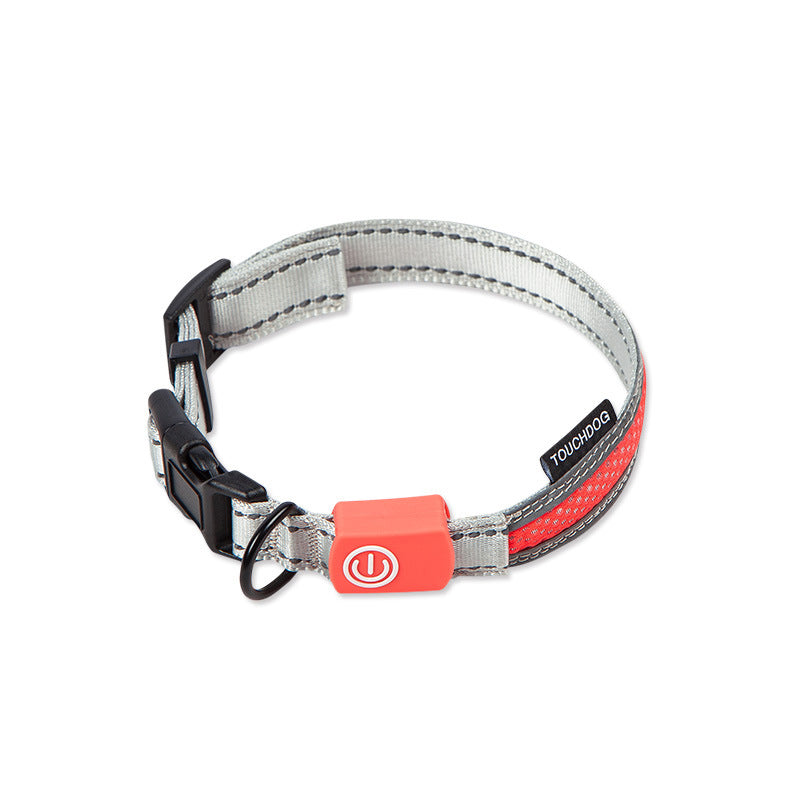 Leucht-Hundeleine mit LED – Bild 10 | LuxeStyle