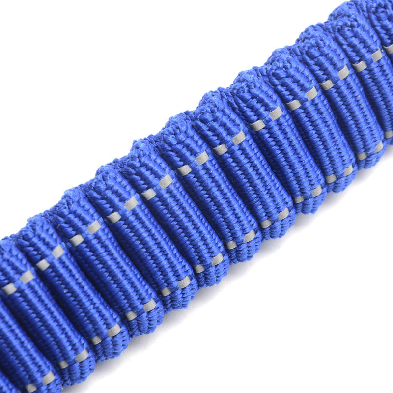 Elastische Hundeleine