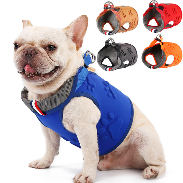 Hundegeschirr mit Pfoten-Design – Bild 5 | LuxeStyle