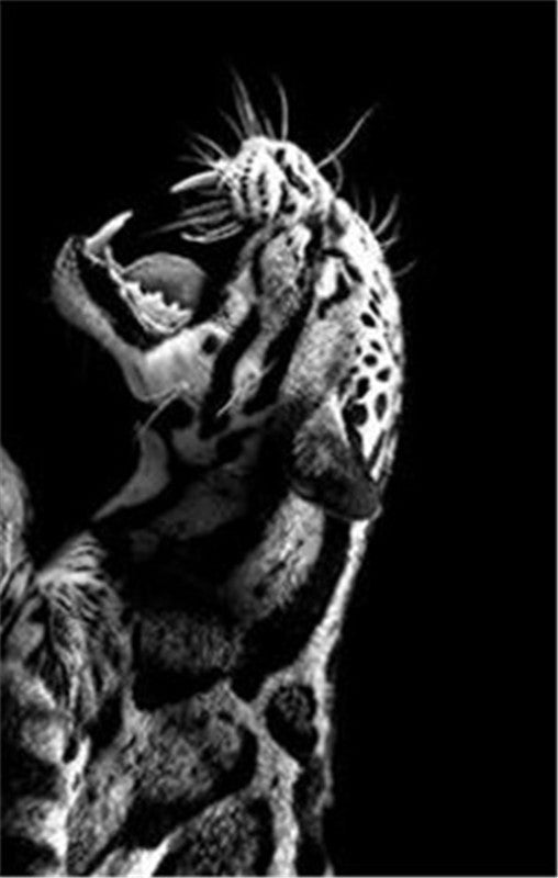 Tiger-Kunstdruck auf Leinwand – Bild 3 | LuxeStyle