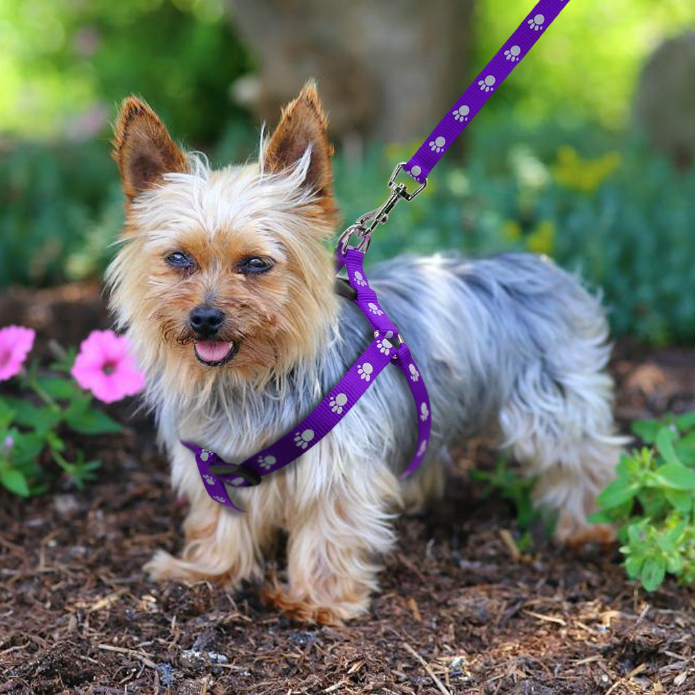 Nylon Hundegeschirr mit Leine – Pfotenabdruck – Bild 2 | LuxeStyle
