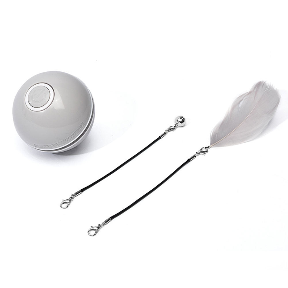 Farbiges Katzenspiel mit LED-Licht – Bild 1 | LuxeStyle