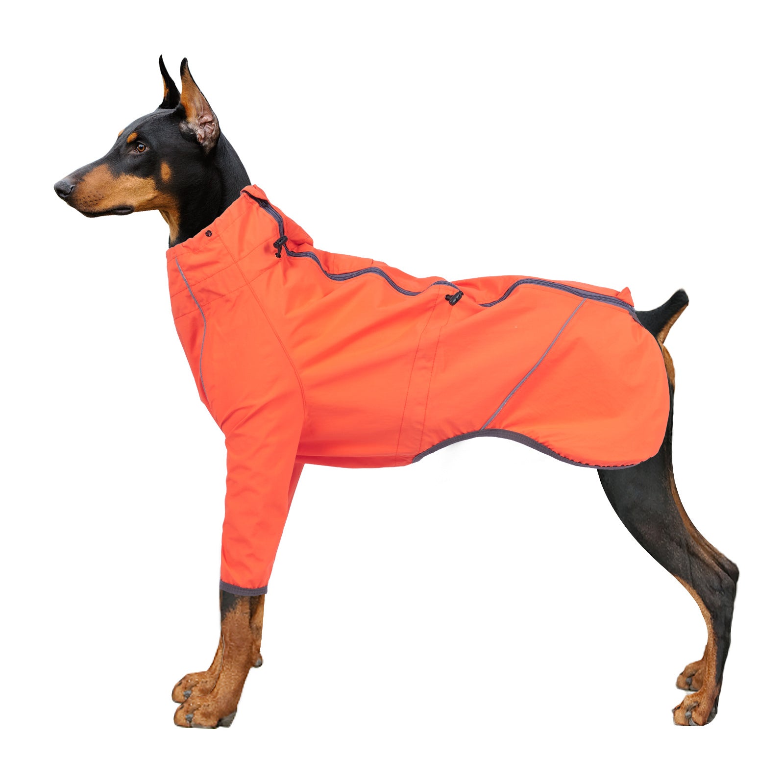 Hundemantel mit Reflektoren und Grippzonen