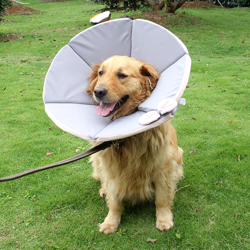 Hundehalskrause für die Genesung – Bild 2 | LuxeStyle