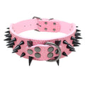 Lederhalsband mit schwarzen Nieten für Hunde | LuxeStyle