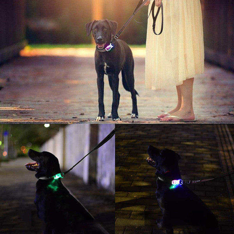 LED Leuchthalsband für Haustiere | LuxeStyle