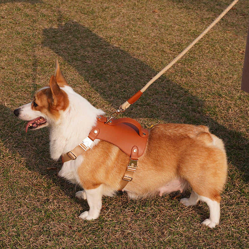 Mikrofaser Outdoor-Hundegeschirr mit Leine – Bild 2 | LuxeStyle
