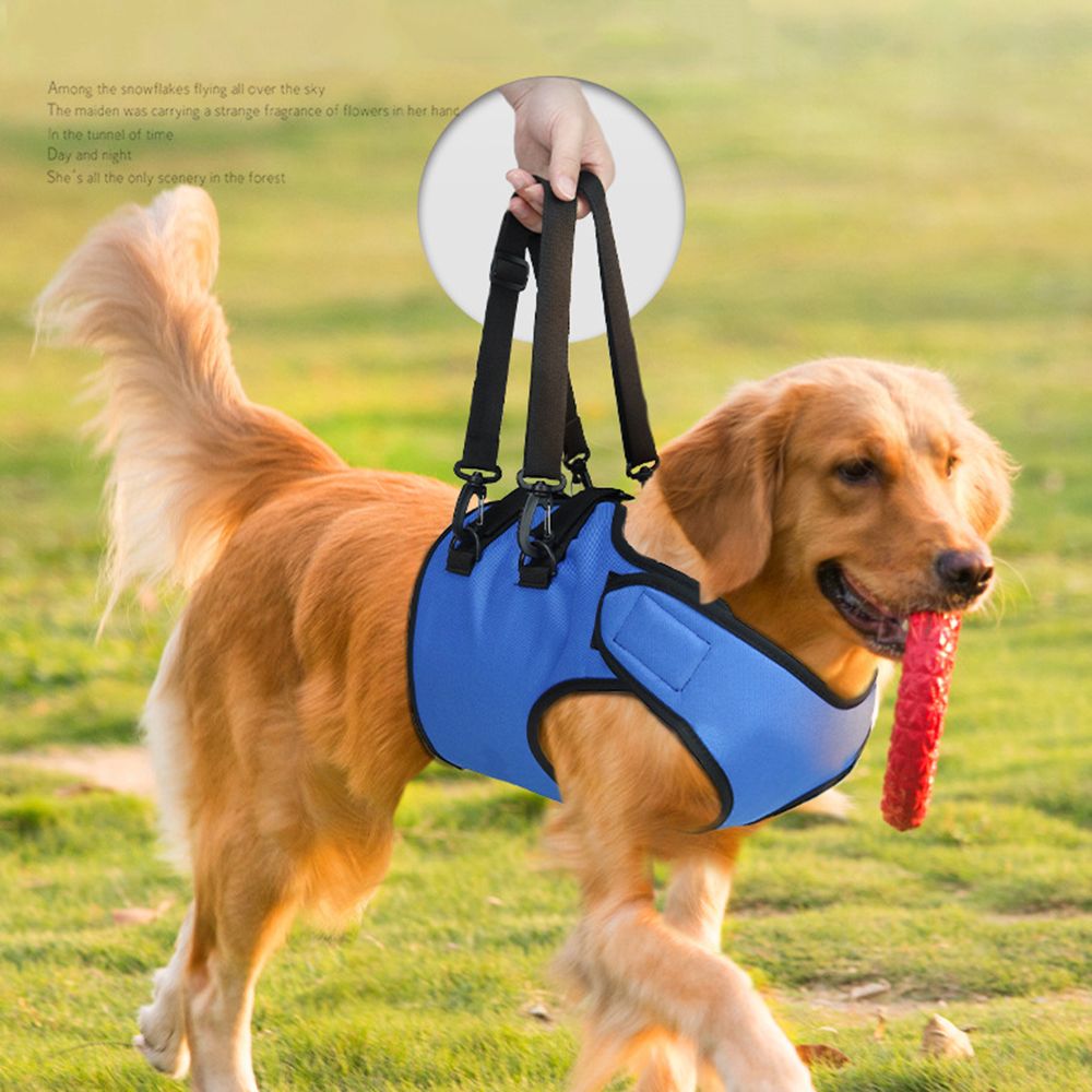 Hundegeschirr für Rehabilitation und Training – Bild 4 | LuxeStyle