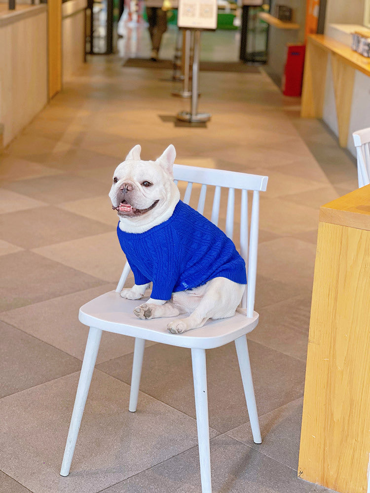 Bichon Corgi Winterpullover Blau – Bild 2 | LuxeStyle