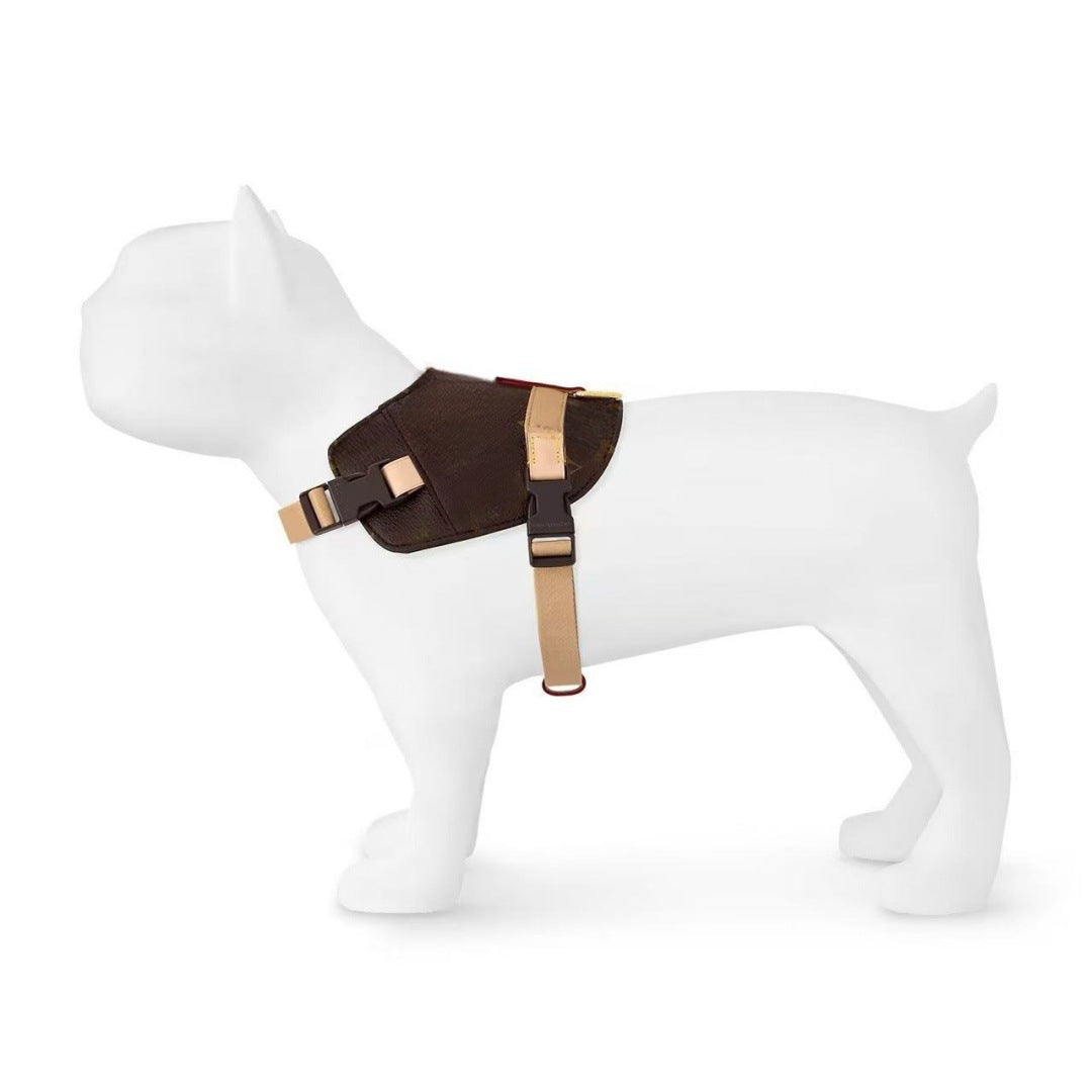 Leder-Halsband für Hunde, Kaffee-Blumenmuster