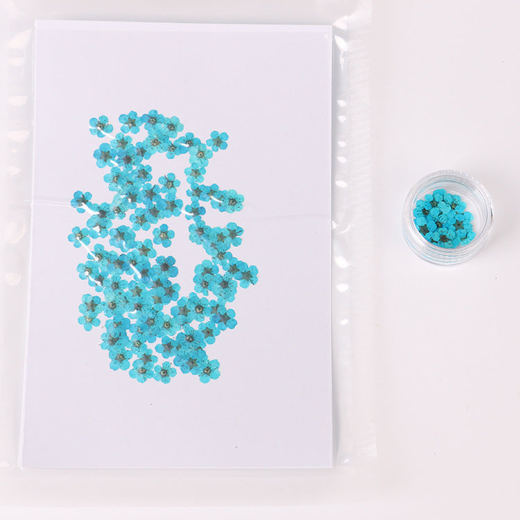 Getrocknete Narzissenblüten für Nageldesign – Bild 5 | LuxeStyle