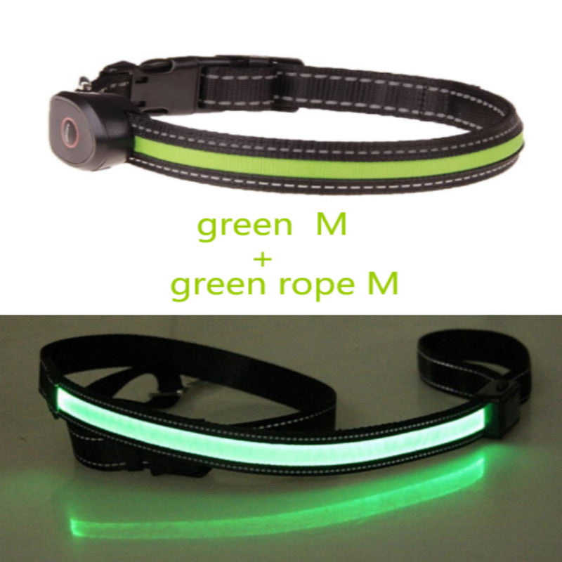 Hundehalsband leuchtend – Bild 7 | LuxeStyle