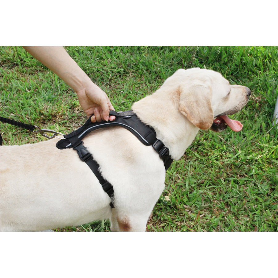 Thoracolumbales Brustband für Hunde – Bild 4 | LuxeStyle
