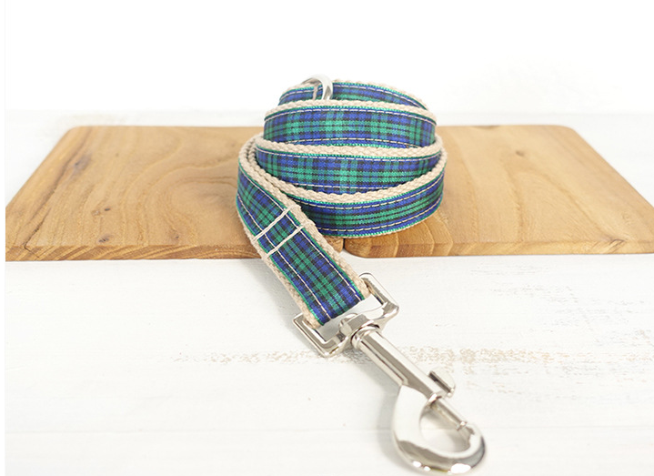 Halsband für Hunde – weich und bequem – Bild 9 | LuxeStyle