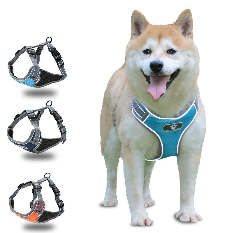 Rücken- und Brustgurt für grosse Hunde | LuxeStyle