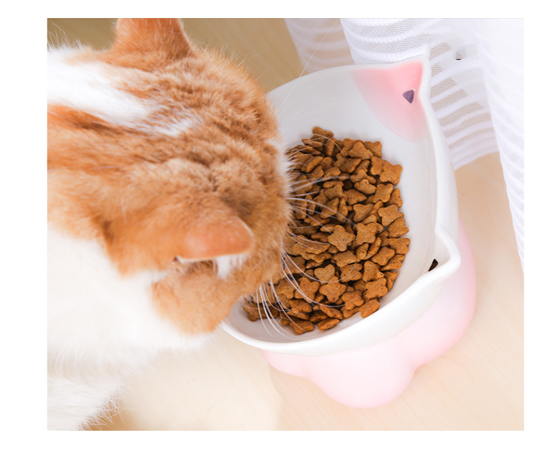 Keramik-Naschschale für Katze 300 ml | LuxeStyle