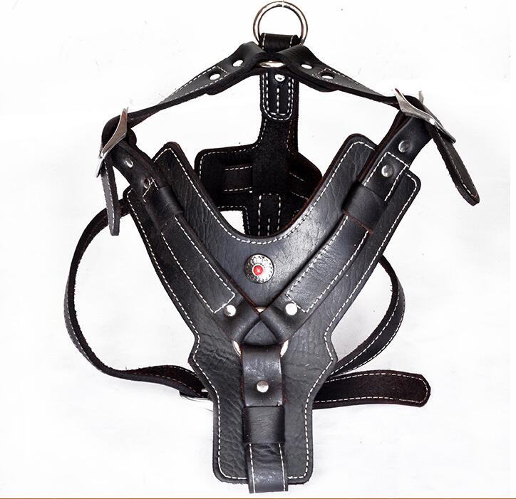 Hundegeschirr aus echtem Leder – Bild 4 | LuxeStyle