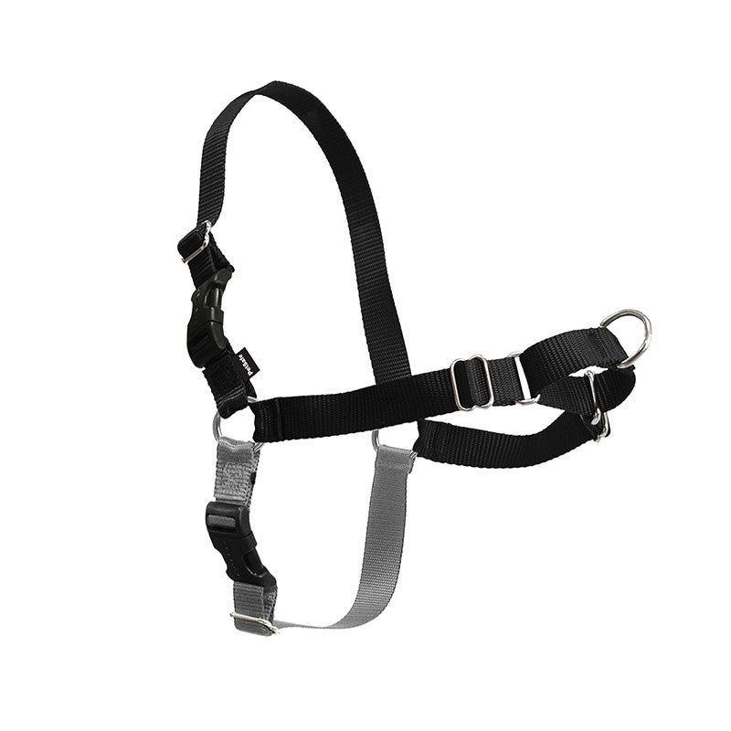 Hundehalsband für Spaziergänge – Bild 5 | LuxeStyle