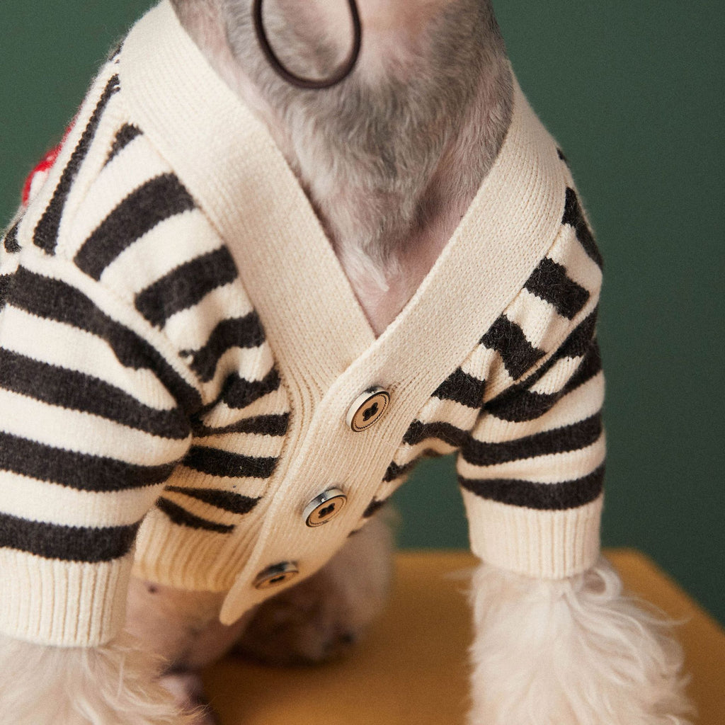 Gestreifter Hundepullover für kleine Hunde – Bild 3 | LuxeStyle
