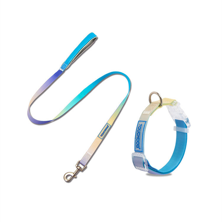 PVC Jelly Gradient Leine | LuxeStyle