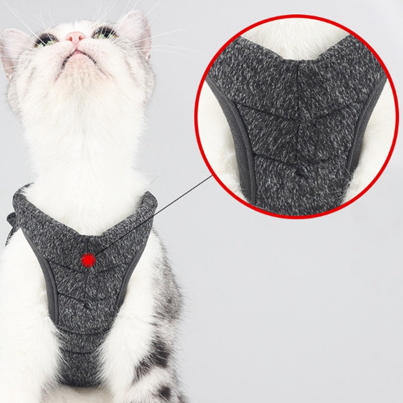Trittbann mit Brustgurt für Katzen | LuxeStyle