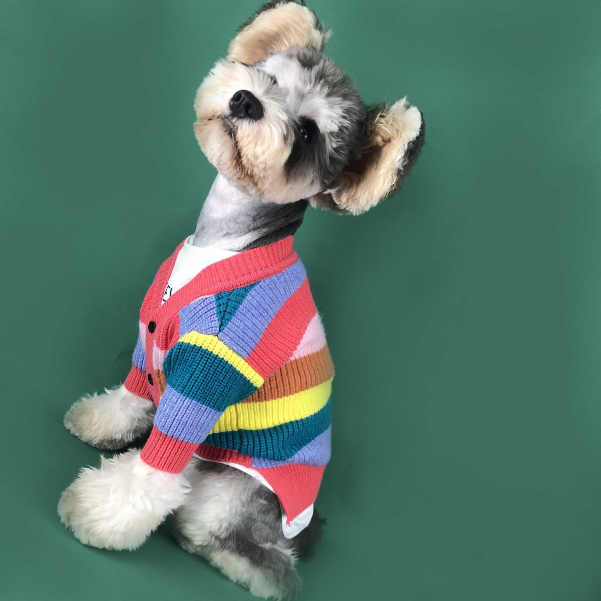 Hund Regenbogen Streifen Cardigan | LuxeStyle