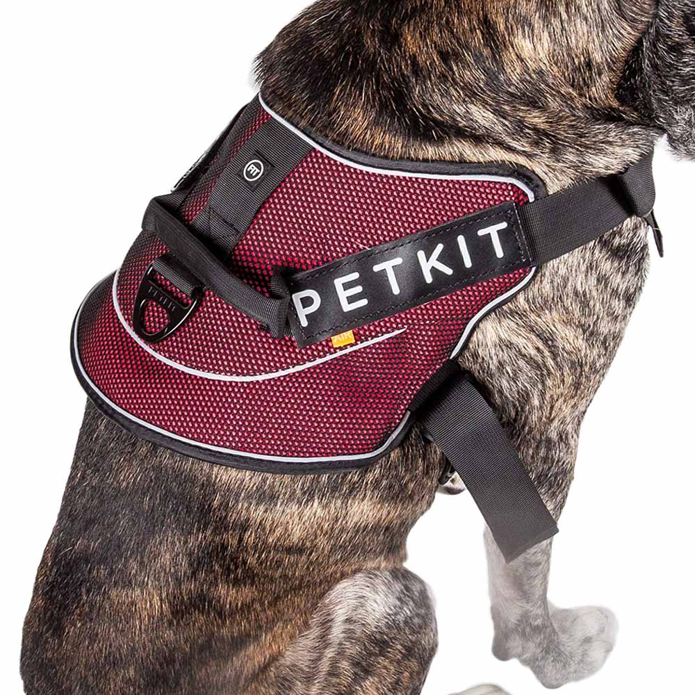 Hunde-Brustgeschirr aus Nylon