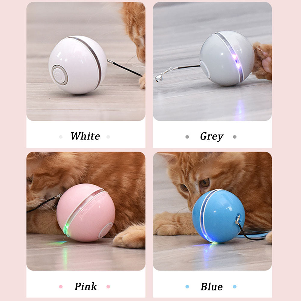 Farbiges Katzenspiel mit LED-Licht – Bild 1 | LuxeStyle