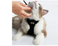 Anti-Rutsch Katzengeschirr – Bild 2 | LuxeStyle