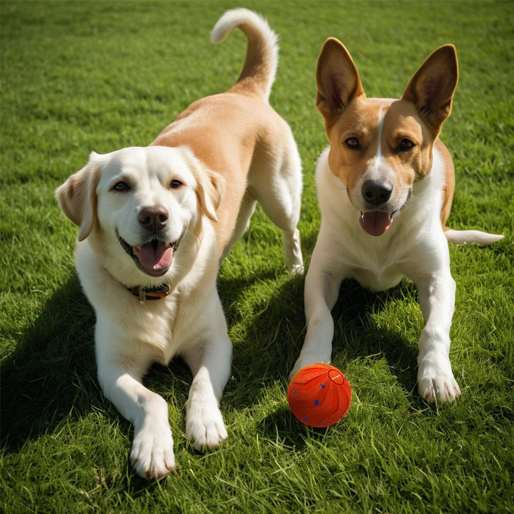 Sprungball für Hunde