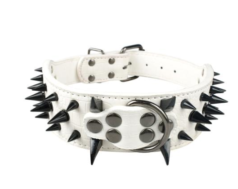Lederhalsband mit schwarzen Nieten für Hunde – Bild 11 | LuxeStyle