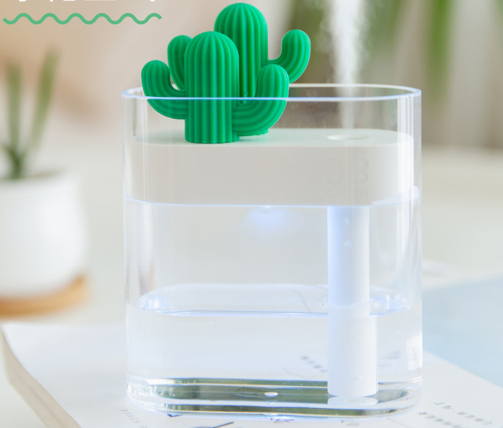 Transparenter Kaktus Luftbefeuchter – Bild 7 | LuxeStyle