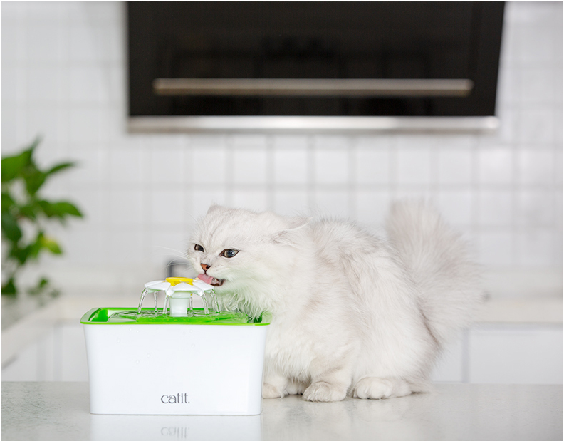 Katzen-Trinkbrunnen mit Filter – Bild 4 | LuxeStyle