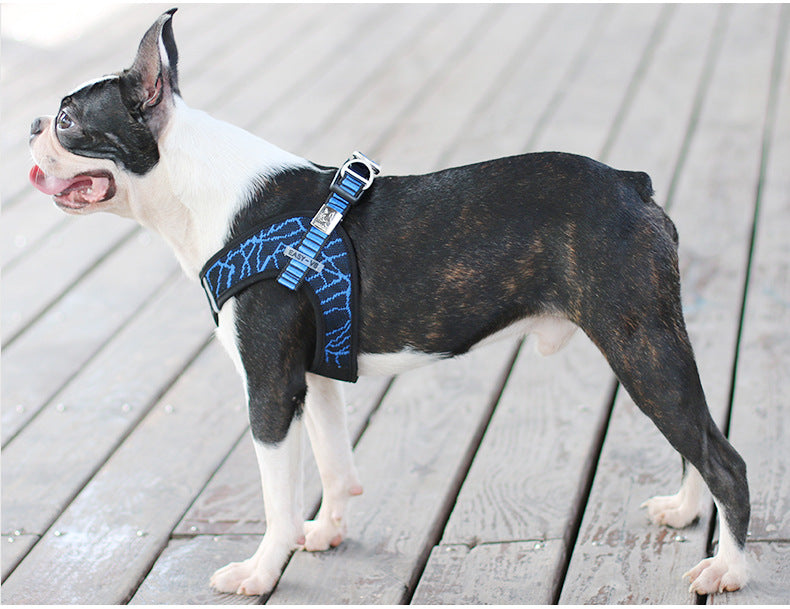 Hundeharnisch mit Laufgurt aus gefliertem Stoff – Bild 3 | LuxeStyle